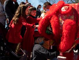 U.S.-TEXAS-HOUSTON-LUNAR NEW YEAR-CELEBRATION