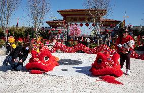 U.S.-TEXAS-HOUSTON-LUNAR NEW YEAR-CELEBRATION