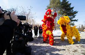 CANADA-TORONTO-ZOO-LUNAR NEW YEAR-CELEBRATION