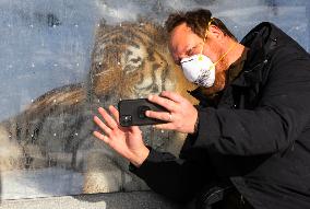 CANADA-TORONTO-ZOO-LUNAR NEW YEAR-CELEBRATION