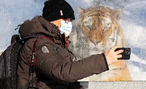 CANADA-TORONTO-ZOO-LUNAR NEW YEAR-CELEBRATION