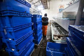 U.S.-MAINE-LOBSTER INDUSTRY-CHINESE MARKET