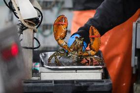U.S.-MAINE-LOBSTER INDUSTRY-CHINESE MARKET
