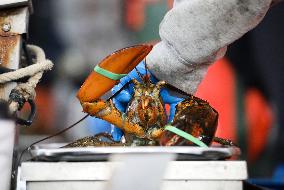 U.S.-MAINE-LOBSTER INDUSTRY-CHINESE MARKET