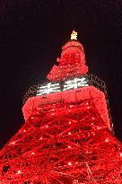 JAPAN-TOKYO-TOKYO TOWER-CHINESE NEW YEAR-ILLUMINATION