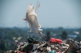 Plastic Waste Scavengers - Indonesia