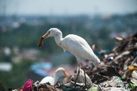 Plastic Waste Scavengers - Indonesia