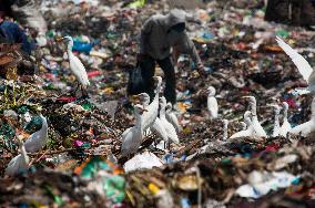 Plastic Waste Scavengers - Indonesia