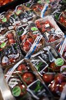 Plastic in the fruit and vegetable section of supermarkets - Paris