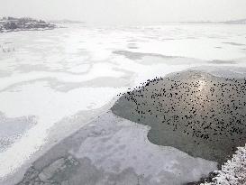 TURKEY-ANKARA-MOGAN LAKE-SNOWFALL