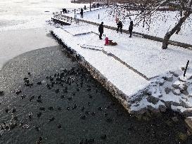 TURKEY-ANKARA-MOGAN LAKE-SNOWFALL