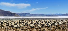 CHINA-TIBET-YAMZBOG YUMCO LAKE-SCENERY (CN)