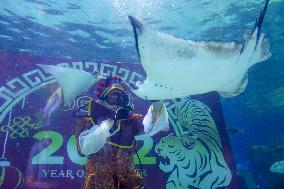 PHILIPPINES-MANILA-OCEAN PARK-CELEBRATION