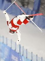 Beijing Olympics: Freestyle skiing