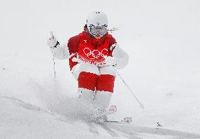 Beijing Olympics: Freestyle skiing