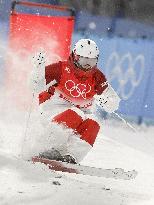 Beijing Olympics: Freestyle skiing