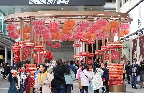 CHINA-HONG KONG-LUNAR NEW YEAR-CELEBRATIONS (CN)