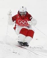 Beijing Olympics: Freestyle Skiing