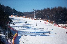 SOUTH KOREA-PYEONGCHANG-SKIING