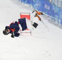 Beijing Olympics: Freestyle Skiing
