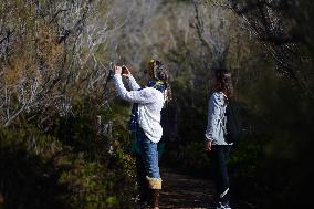 MALTA-MELLIEHA-NATURE-RESERVE-WORLD WETLANDS DAY