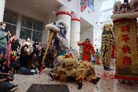 U.S.-TEXAS-HOUSTON-CHINESE LUNAR NEW YEAR-CELEBRATION