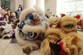 U.S.-TEXAS-HOUSTON-CHINESE LUNAR NEW YEAR-CELEBRATION