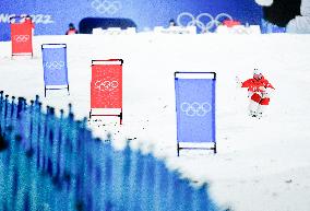 (BEIJING2022) CHINA-ZHANGJIAKOU-OLYMPIC WINTER GAMES-FREESTYLE SKIING-MEN'S MOGULS FINAL (CN)