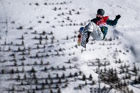 (BEIJING2022)CHINA-ZHANGJIAKOU-OLYMPIC WINTER GAMES-SNOWBOARD-SLOPESTYLE-FINAL (CN)
