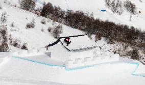 (BEIJING2022)CHINA-ZHANGJIAKOU-OLYMPIC WINTER GAMES-SNOWBOARD-SLOPESTYLE-FINAL (CN)