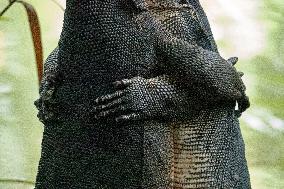 SINGAPORE-BOTANIC GARDENS-LIZARDS