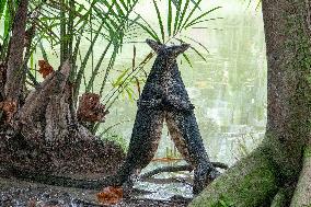 SINGAPORE-BOTANIC GARDENS-LIZARDS