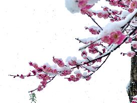 #CHINA-WEATHER-SNOW (CN)