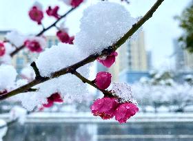 #CHINA-WEATHER-SNOW (CN)