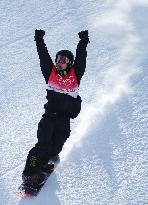 (BEIJING2022)CHINA-ZHANGJIAKOU-OLYMPIC WINTER GAMES-SNOWBOARD-SLOPESTYLE-FINAL (CN)