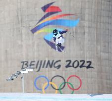 (XHTP)(BEIJING2022)CHINA-BEIJING-OLYMPIC WINTER GAMES-WOMEN'S FREESKI BIG AIR-FINAL (CN)