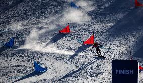 (XHTP)(BEIJING2022)CHINA-ZHANGJIAKOU-OLYMPIC WINTER GAMES-SNOWBOARD-MEN'S PARALLEL GIANT SLALOM-FINAL (CN)