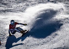 (BEIJING2022)CHINA-ZHANGJIAKOU-OLYMPIC WINTER GAMES-SNOWBOARD-WOMEN'S PARALLEL GIANT SLALOM (CN)