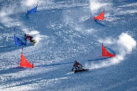 (BEIJING2022)CHINA-ZHANGJIAKOU-OLYMPIC WINTER GAMES-SNOWBOARD-WOMEN'S PARALLEL GIANT SLALOM (CN)