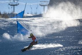 (BEIJING2022)CHINA-ZHANGJIAKOU-OLYMPIC WINTER GAMES-SNOWBOARD-MEN'S PARALLEL GIANT SLALOM-FINAL (CN)