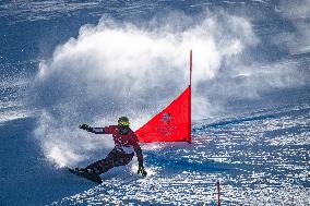 (BEIJING2022)CHINA-ZHANGJIAKOU-OLYMPIC WINTER GAMES-SNOWBOARD-MEN'S PARALLEL GIANT SLALOM-FINAL (CN)