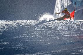 (BEIJING2022)CHINA-ZHANGJIAKOU-OLYMPIC WINTER GAMES-SNOWBOARD-MEN'S PARALLEL GIANT SLALOM-FINAL (CN)