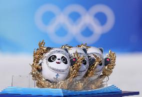 Xinhua Headlines: Chinese go warm and fuzzy over Winter Olympics mascot