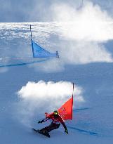 (BEIJING2022)CHINA-ZHANGJIAKOU-OLYMPIC WINTER GAMES-SNOWBOARD-MEN'S PARALLEL GIANT SLALOM-FINAL (CN)