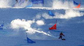 (BEIJING2022)CHINA-ZHANGJIAKOU-OLYMPIC WINTER GAMES-SNOWBOARD-MEN'S PARALLEL GIANT SLALOM-FINAL (CN)