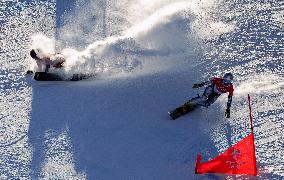 (BEIJING2022)CHINA-ZHANGJIAKOU-OLYMPIC WINTER GAMES-SNOWBOARD-WOMEN'S PARALLEL GIANT SLALOM-FINAL (CN)