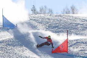 (BEIJING2022)CHINA-ZHANGJIAKOU-OLYMPIC WINTER GAMES-SNOWBOARD-MEN'S PARALLEL GIANT SLALOM-FINAL (CN)