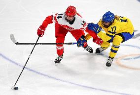(BEIJING2022)CHINA-BEIJING-OLYMPIC WINTER GAMES-ICE HOCKEY-WOMEN'S PRELIMINARY-  SWEDEN VS DENMARK(CN)