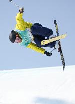 (BEIJING2022)CHINA-BEIJING-OLYMPIC WINTER GAMES-FREESTYLE SKIING-MEN'S FREESKI BIG AIR-FINAL (CN)
