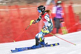 (XHTP)(BEIJING2022)CHINA-BEIJING-OLIMPIC WINTER GAMES-ALPINE SKIING-WOMEN'S SLALOM (CN)